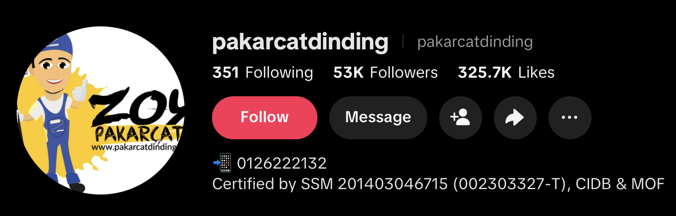 Profil TikTok @pakarcatdinding dengan logo Zoy dan maklumat akaun.